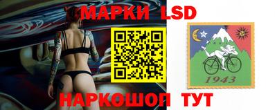 шишки Ивантеевка